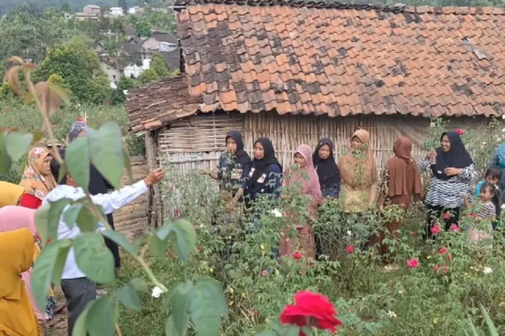 Petani Mawar di Nganjuk...