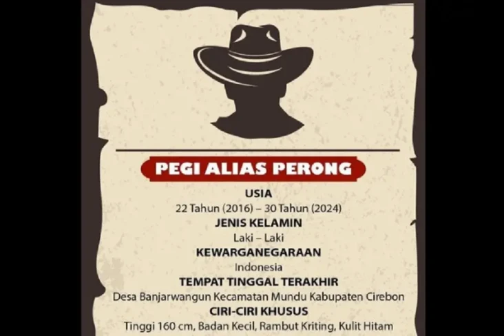 Benarkah Pegi Perong...