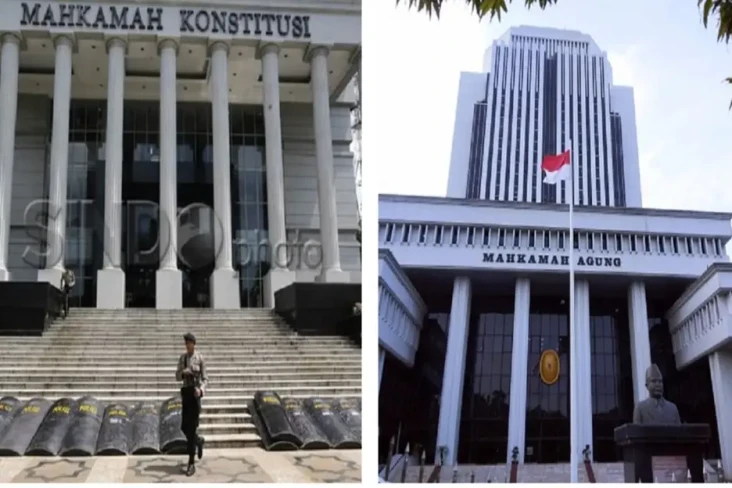 Perbedaan Mahkamah Konstitusi...