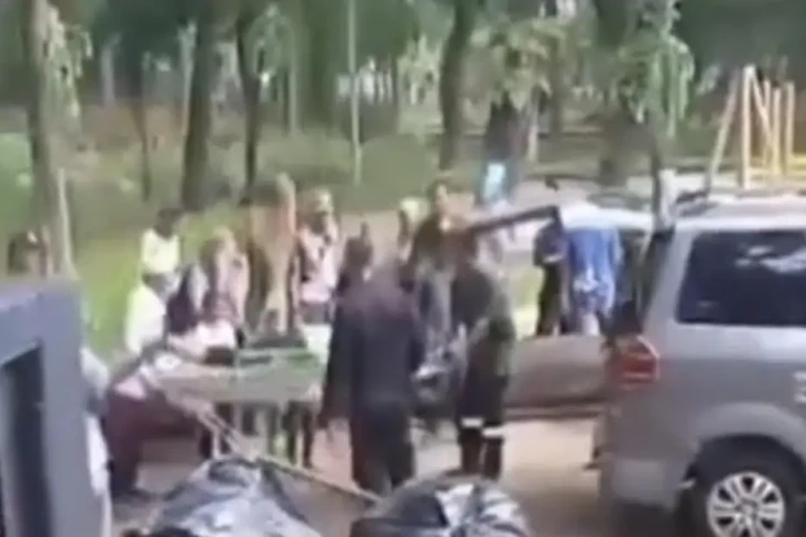 Tertimpa Pohon Tumbang,...