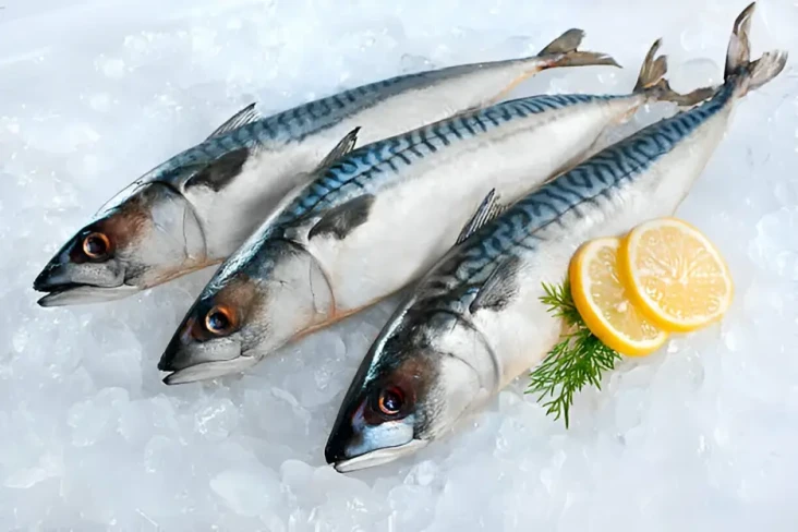 8 Ikan yang Boleh Dimakan...