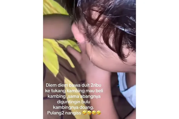 Viral! Bocil Beli Kambing...