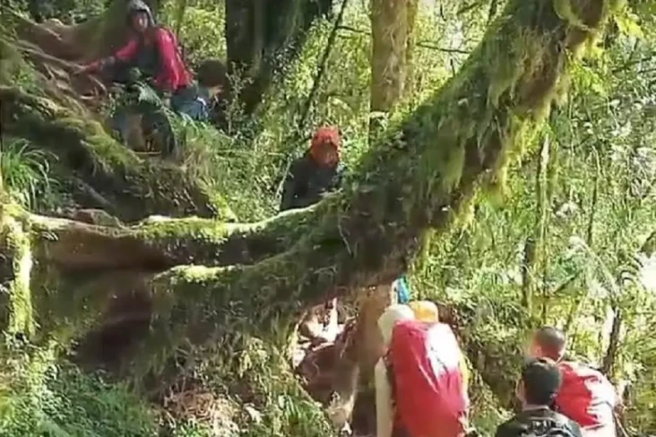 Hipotermia di Gunung...