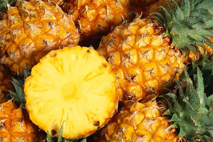 4 Perbedaan Nanas Muda...
