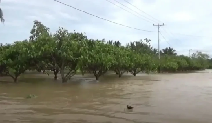 Banjir di Luwu Utara...