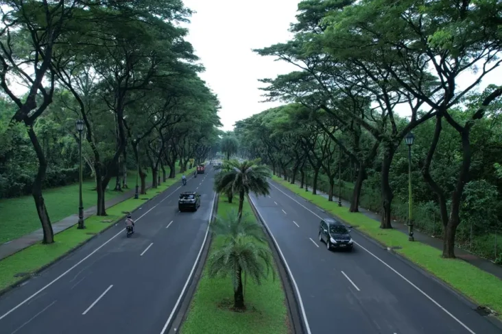 Peduli Lingkungan, Lippo...