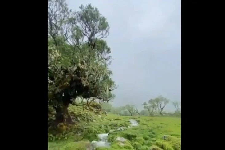 Keindahan Lembah Lohe...