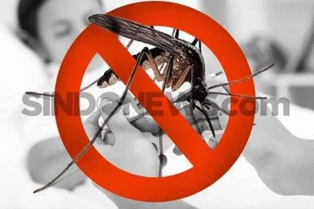 Waspada! Wabah Malaria...