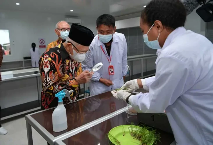 Wapres Maruf Amin Dukung...
