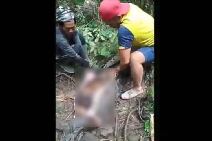 Gempar! Wanita Pekerja...