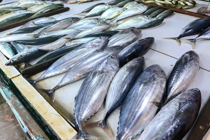 7 Ikan Lokal yang Kandungan...