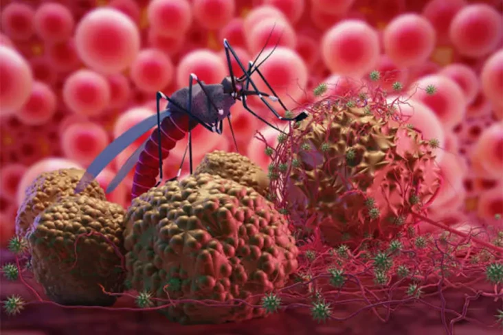 IKN Disebut Sarang Malaria,...