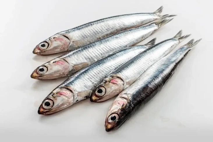 7 Ikan Lokal Pengganti...