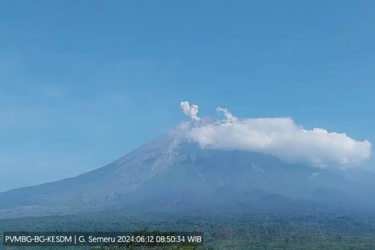 Gunung Semeru Erupsi,...
