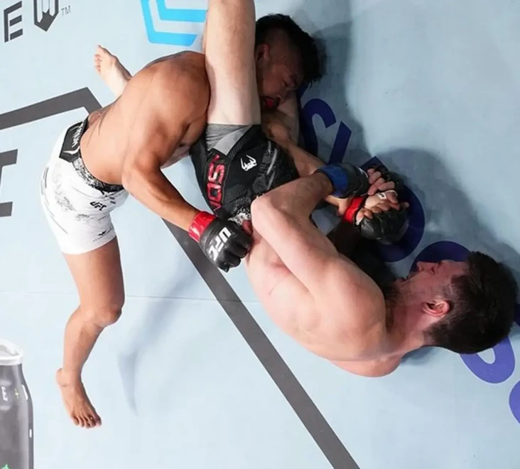 Hasil UFC Fight Night:...