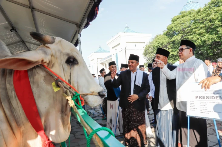 Jumlah Hewan Kurban...