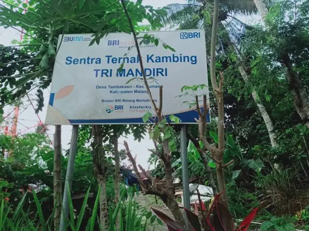 Program Pemberdayaan...