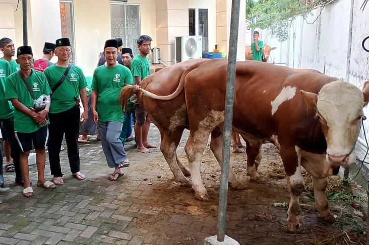 BKI Bagikan Daging Kurban...