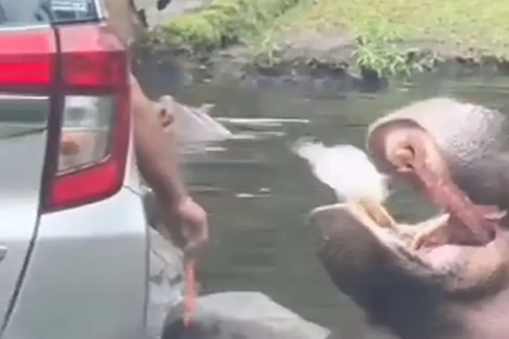 Viral, Pengunjung Taman...