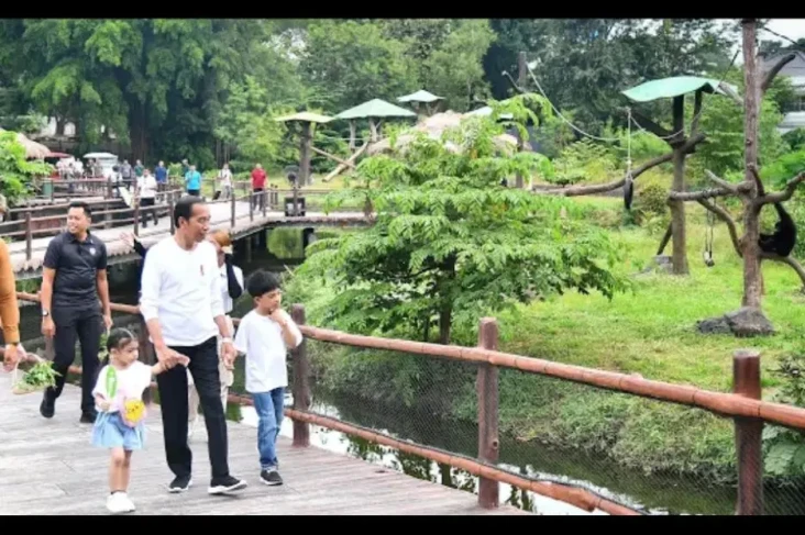 Momen Jokowi Ajak Cucu...