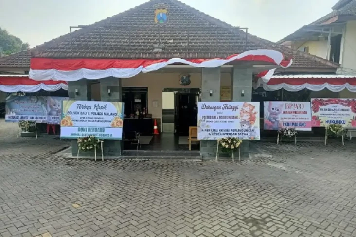 Ungkap Kasus Kucing...