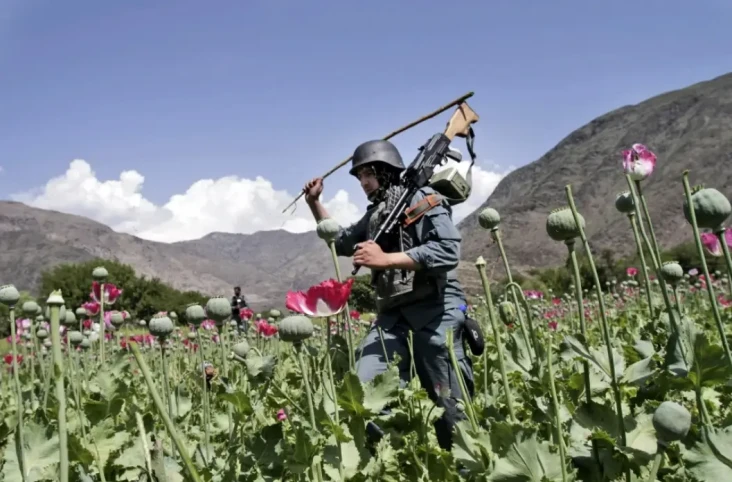Produksi Opium Afghanistan...