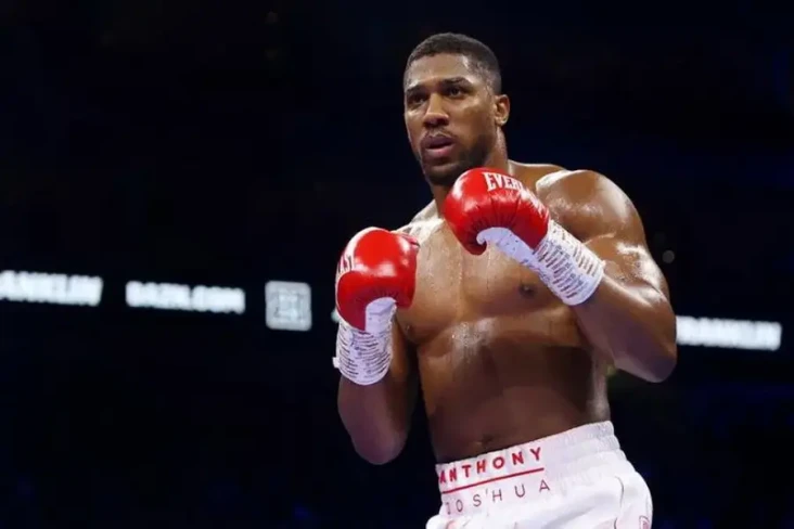 Emosi Batal Lawan Tyson,...