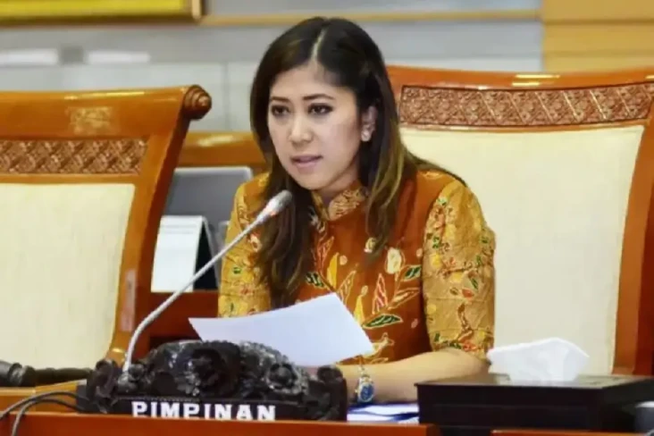 PDN Diserang, Komisi...