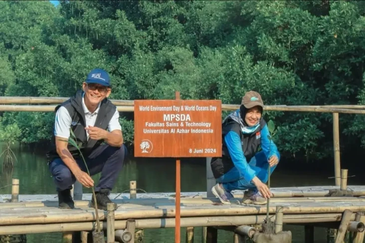 Hutan Mangrove Indonesia...