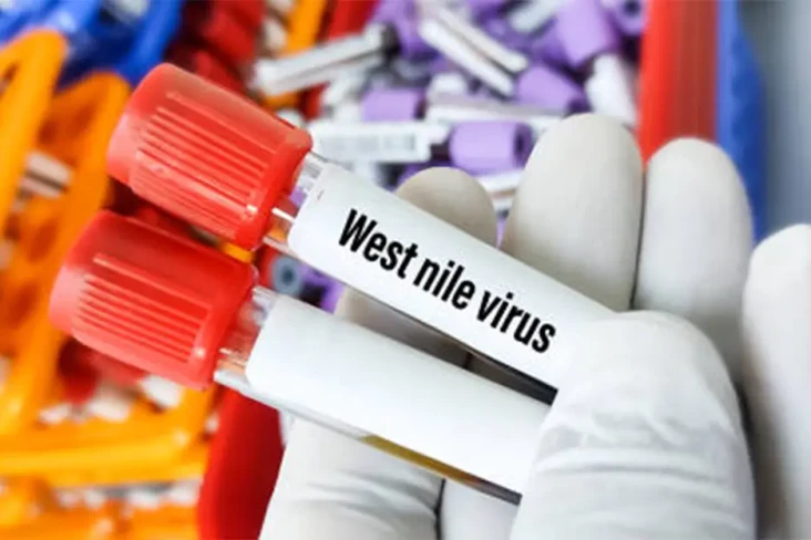 Apakah Virus West Nile...