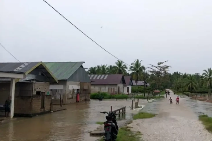 Bencana Banjir Terjang...
