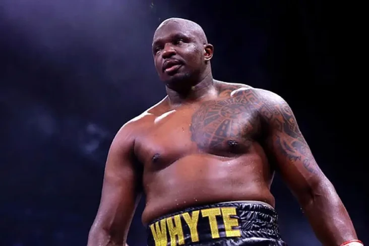 Dillian Whyte Konfirmasi...
