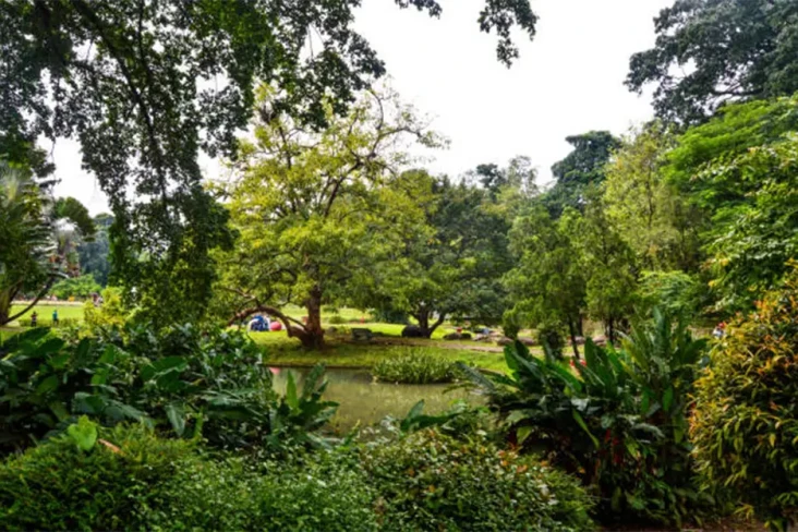 5 Tempat Wisata Bogor...