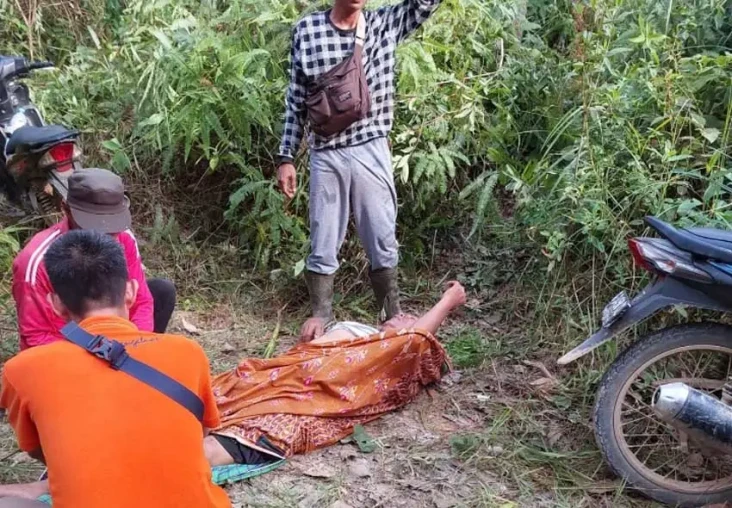 Hendak Halau Gajah Perusak...