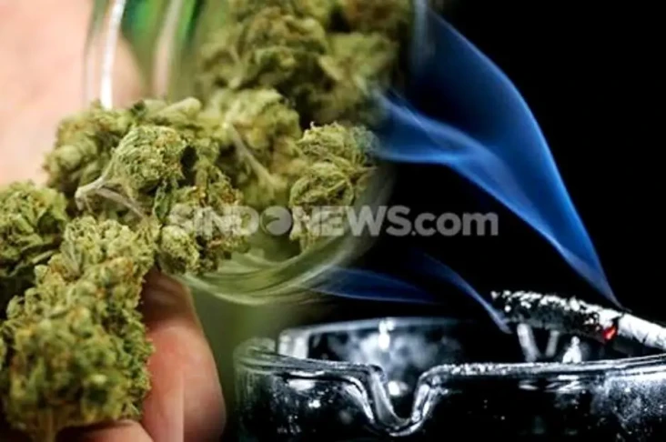 Bawa Ganja 30 Kg, Bandar...
