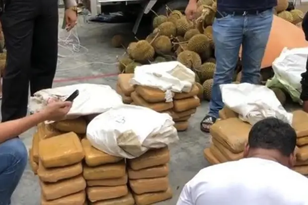 Sita 30 Kg Ganja dari...