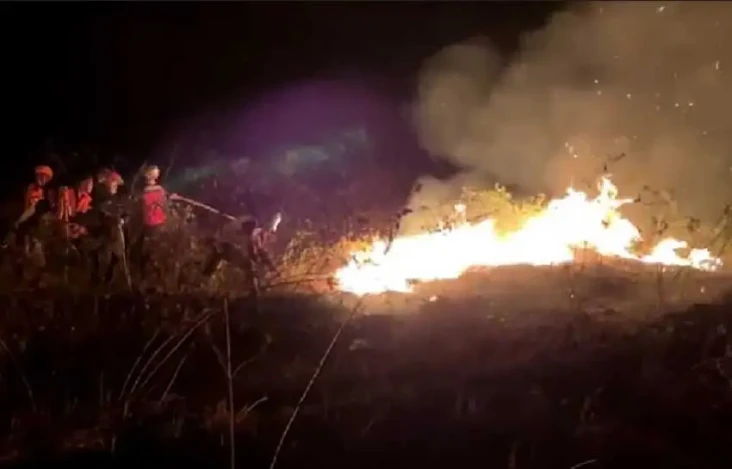 Hektaran Lahan di Sleman...