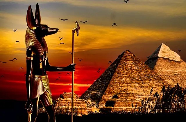 Anubis Hewan Peliharaan...