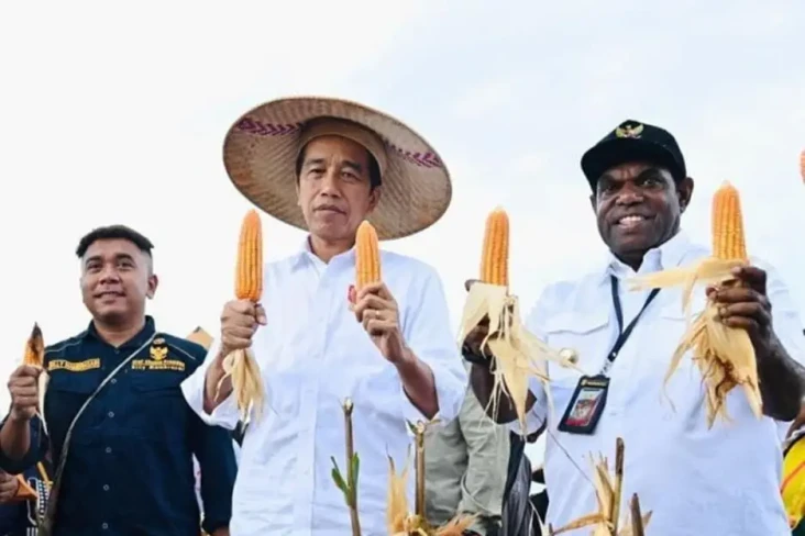 Presiden Jokowi Bakal...