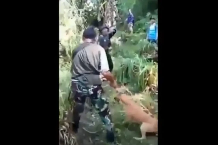 Viral Penyiksaan Anjing...