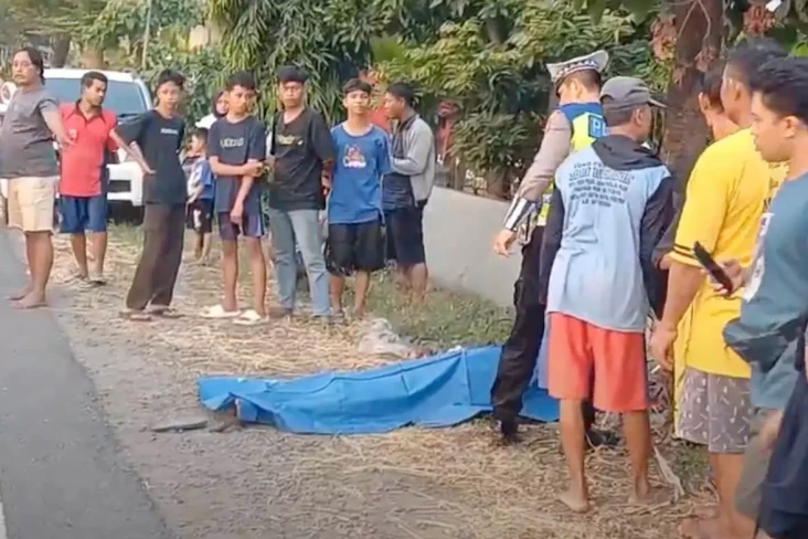 Buruh Angkut Gabah di...
