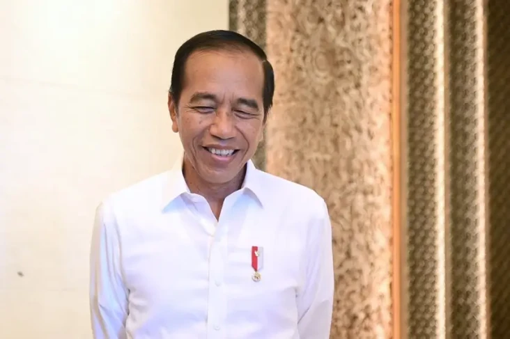 Jokowi Cek IKN: Air...