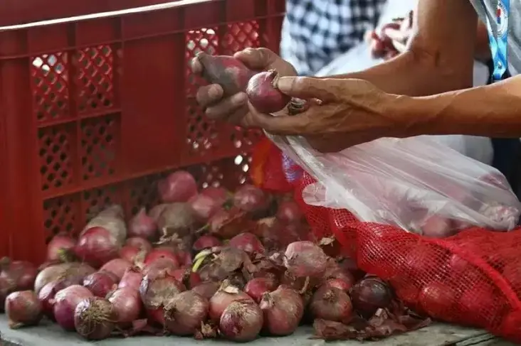 Bawang Merah Hingga...