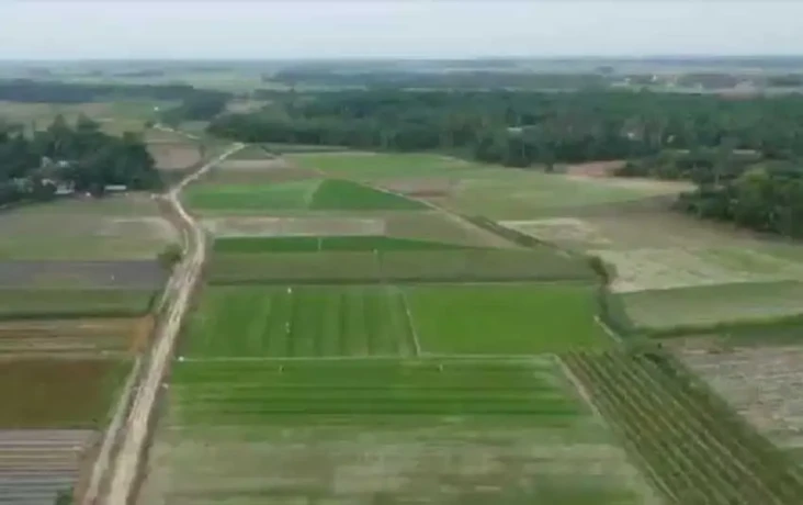 2.706 Ha Sawah di Kabupaten...