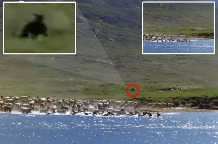 Viral Misteri Dugaan...
