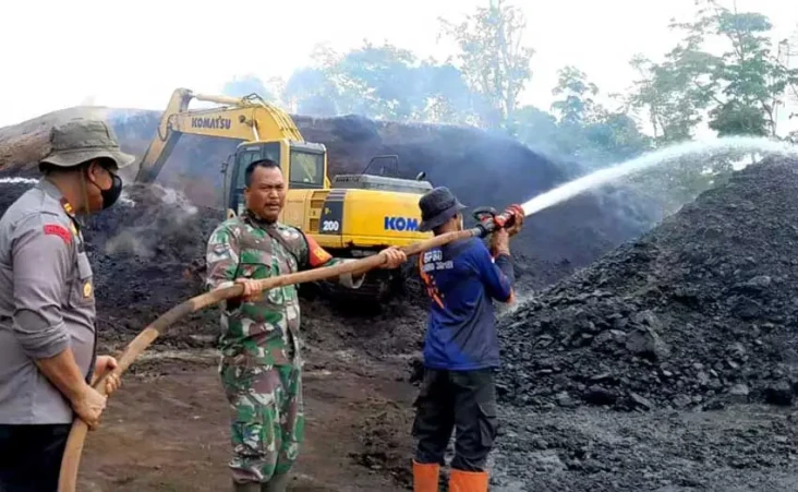 Dampak Kemarau Ribuan...