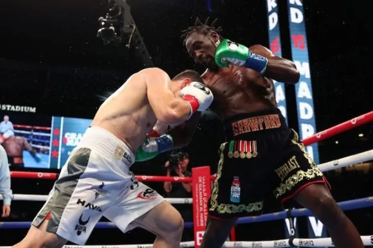 Malignaggi: Terence...