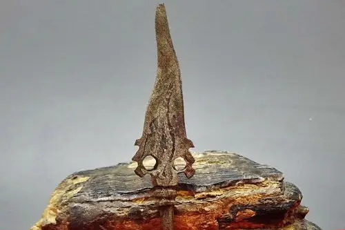 Misteri Tombak Kanjeng...