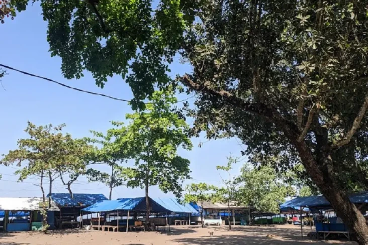 Kisah Pasar Monyet Palabuhanratu,...