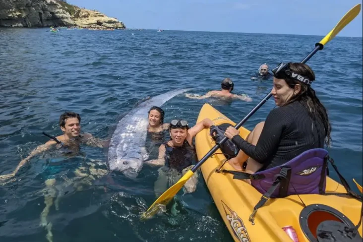 Ikan Kiamat Muncul di...